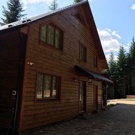 Ялинка Villa Migovo Ngoại thất bức ảnh
