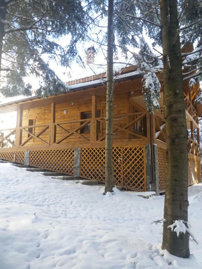 Ялинка Villa Migovo Ngoại thất bức ảnh